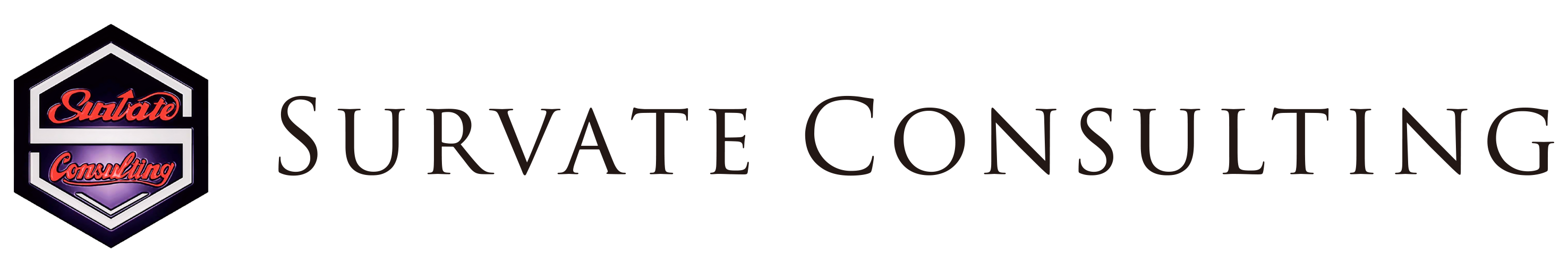 サーヴェイトコンサルティング株式会社